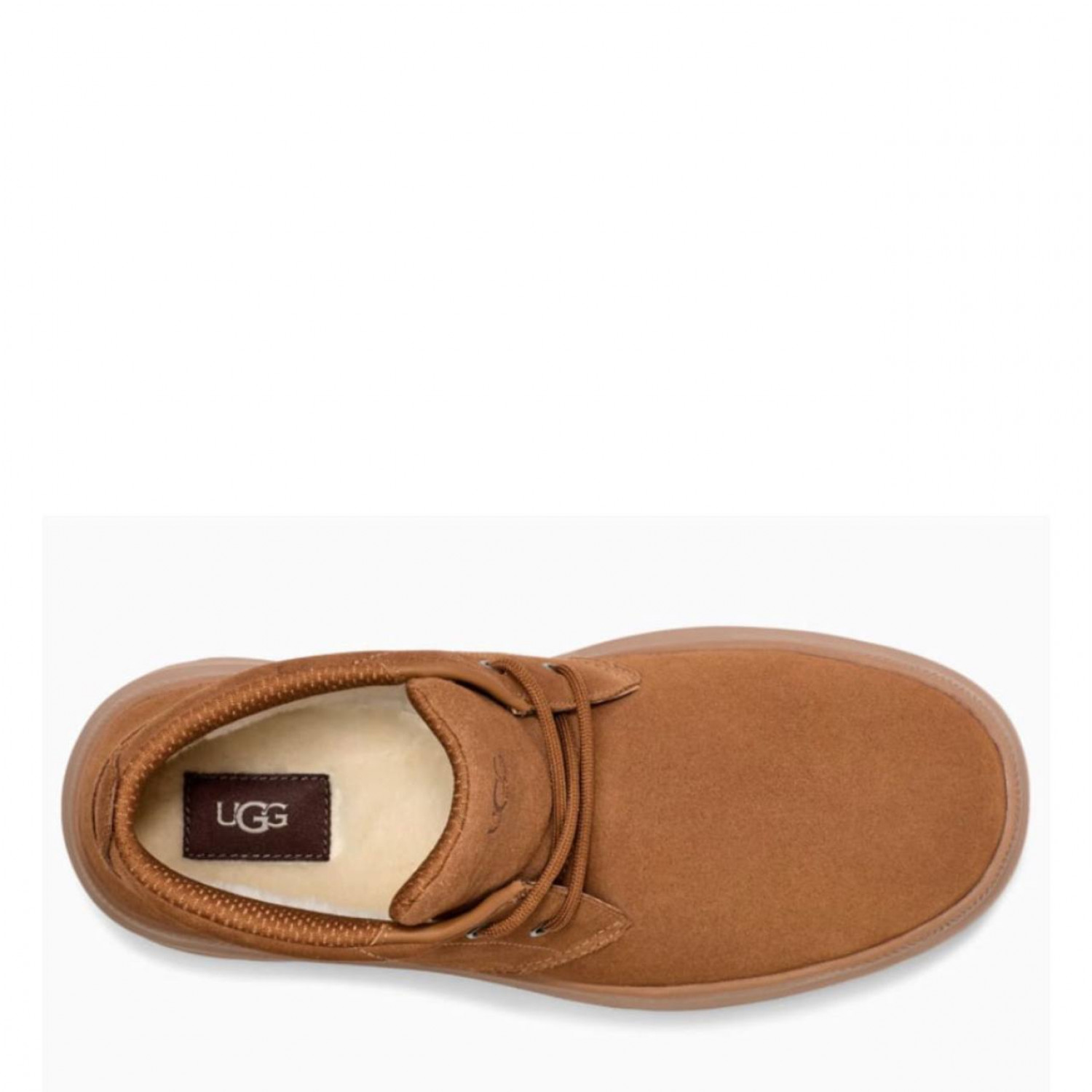 UGG Mens Burleigh Chukka Chestnut 