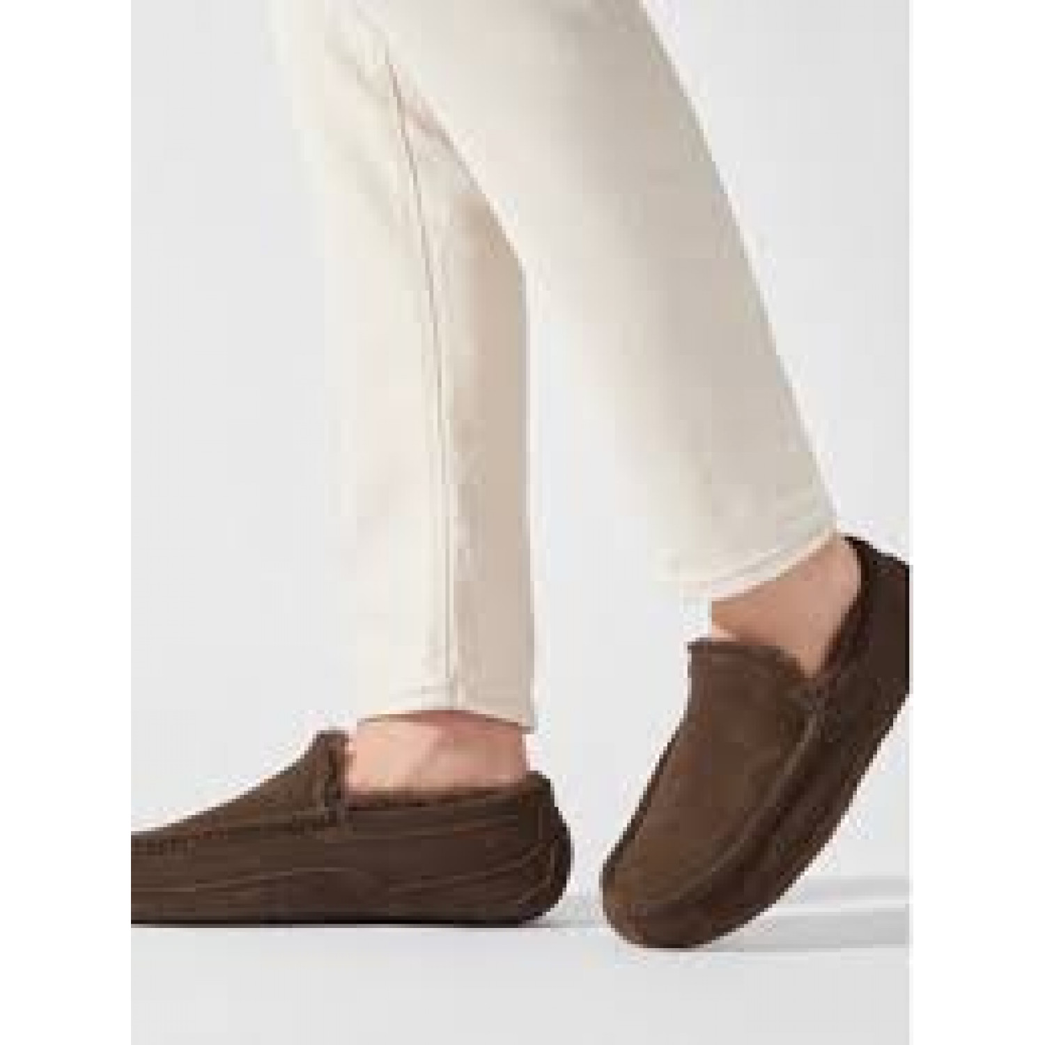 UGG Mens Ascot Chocolate 
