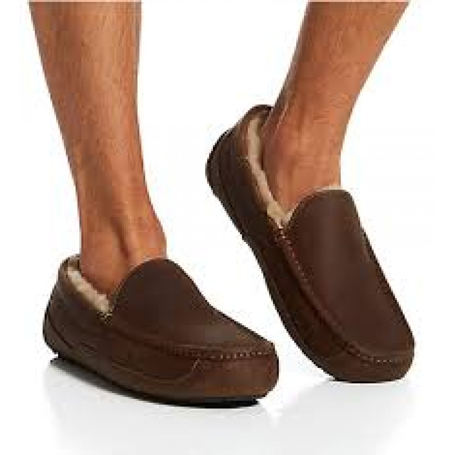 UGG Mens Ascot Chocolate 